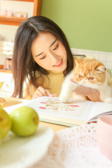 神马视频高清免费看